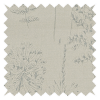 Chervil Blue Mist