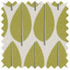 Levande Lazza Kiwi
