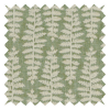 Fernia Fern